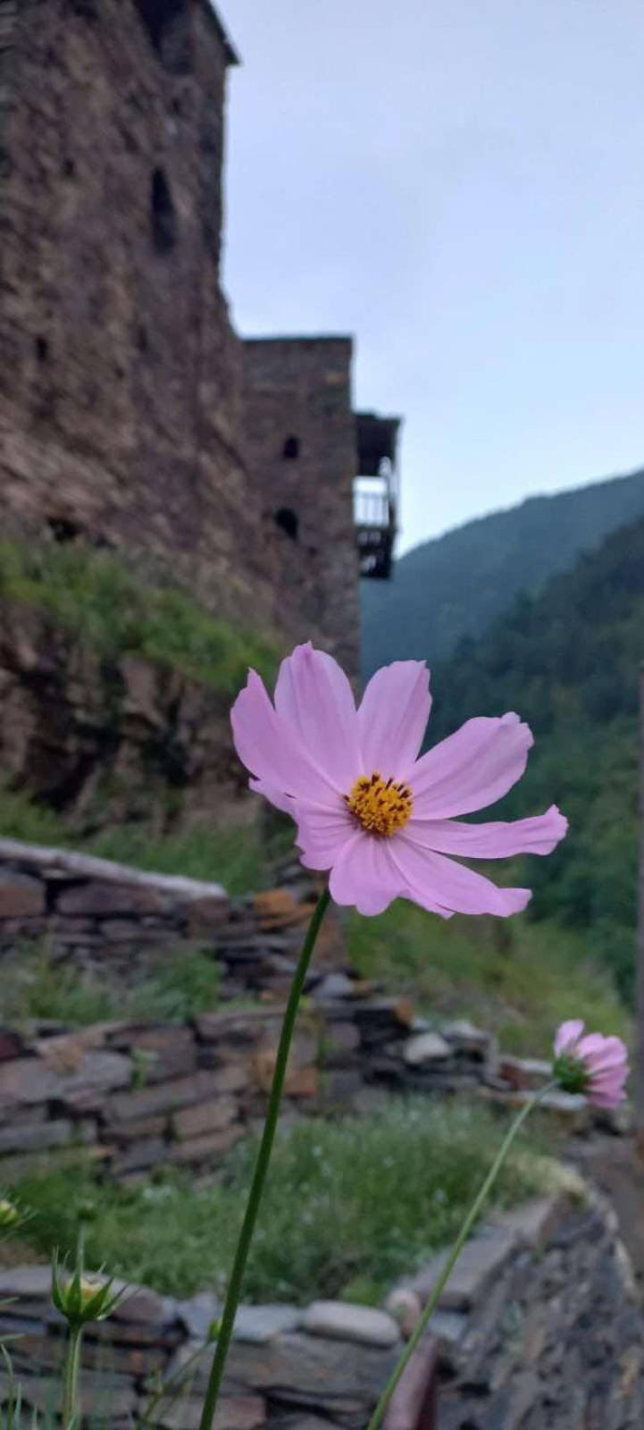 "Front Castle" Shatili Exterior foto